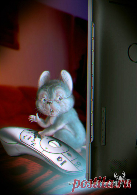 Вход в мышеловку бесплатный...