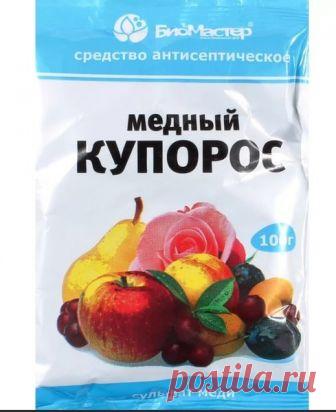 Легко и просто избавляемся от плесени на стенах. | Борьба за красоту. | Яндекс Дзен