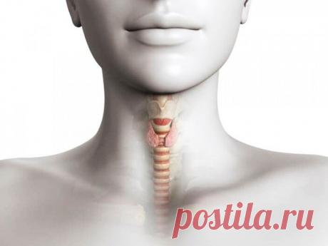 БЛОГ ПОЛЕЗНОСТЕЙ: 12 признаков, что у вас проблемы со щитовидной железой