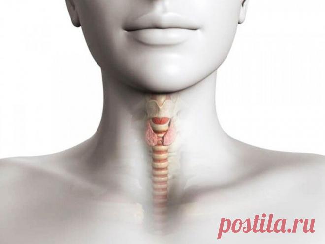 БЛОГ ПОЛЕЗНОСТЕЙ: 12 признаков, что у вас проблемы со щитовидной железой