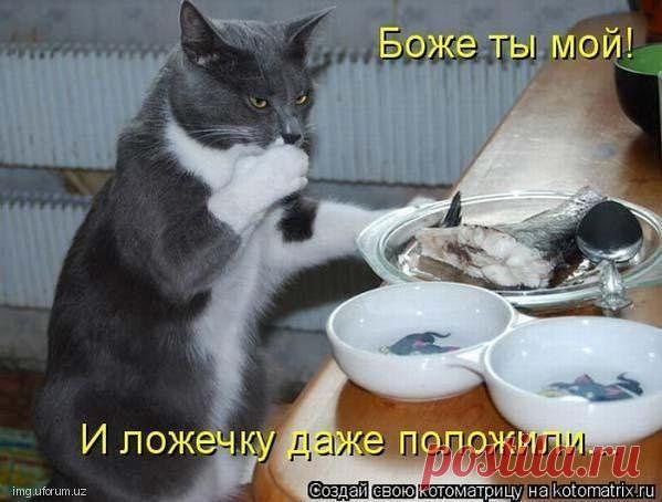 Веселый Кот
лера прозорова