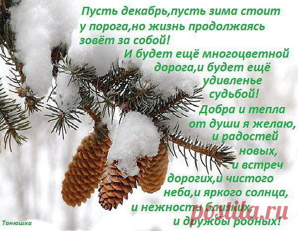 Интересные новости