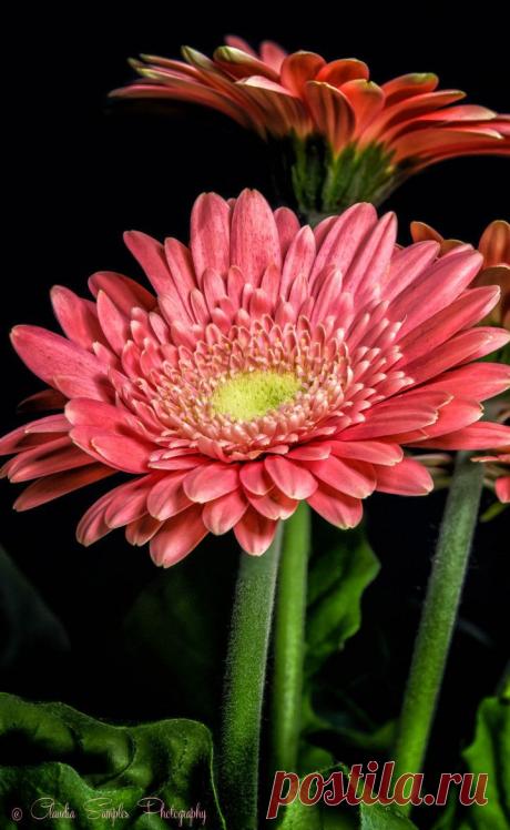 Найдено на сайте 500px.com.