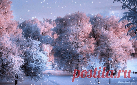 Фото в Google+