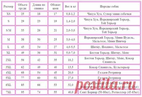 как сделать выкройку шлейки для йорка - 1 753 картинки. Поиск Mail.Ru