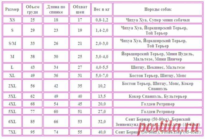 как сделать выкройку шлейки для йорка - 1 753 картинки. Поиск Mail.Ru
