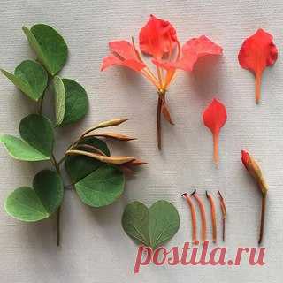 Детали