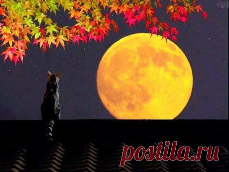 (27) Мой Мир@Mail.Ru