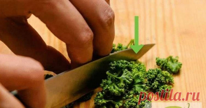 Лечение позвоночника — спасибо соседу за бесценный совет! Лет 20 назад у меня начались сильные боли в позвоночнике. Ходил по разным врачам, даже попал на прием к онкологу.