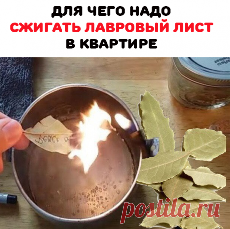 Если сжигать хоть один листочек лаврового листа, то можно избавиться от сырости, неприятного запаха в своих помещениях. В лавровом листе имеются эфирные масла, которые имеют свойства расслаблять организм и очищать дыхательные пути. 

При сжигании в домах листа, дом наполняется свежестью, посторонние запахи не маскируются, а исчезают, легче становится дышать и проходят головные боли. Когда заболею простудными заболеваниями обязательно сжигаю лавровый лист и выздоравливаю!