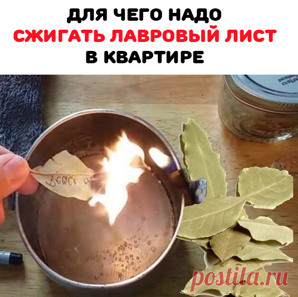 Если сжигать хоть один листочек лаврового листа, то можно избавиться от сырости, неприятного запаха в своих помещениях. В лавровом листе имеются эфирные масла, которые имеют свойства расслаблять организм и очищать дыхательные пути. 

При сжигании в домах листа, дом наполняется свежестью, посторонние запахи не маскируются, а исчезают, легче становится дышать и проходят головные боли. Когда заболею простудными заболеваниями обязательно сжигаю лавровый лист и выздоравливаю!