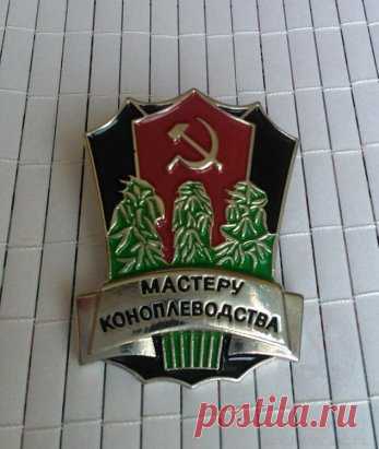 жили же как люди,чего не хватало?