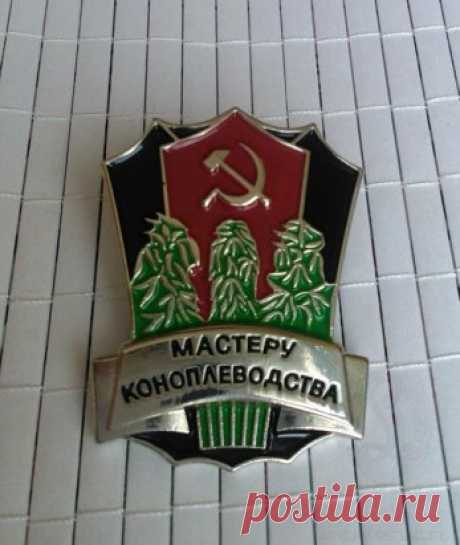 жили же как люди,чего не хватало?