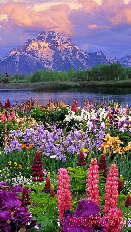 (48) Pinterest