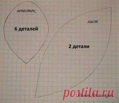 Выкройки цветов к МК на вебинарах | 7 фотографий