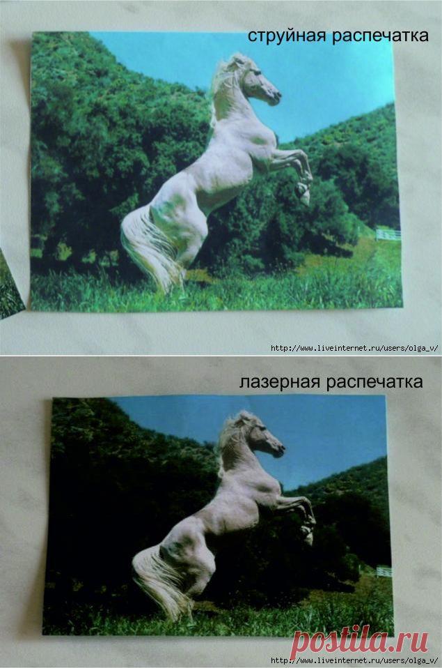 Сравнение лазерной и струйной распечаток при вживлении изображения.