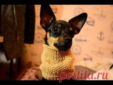 Как связать снуд для собаки