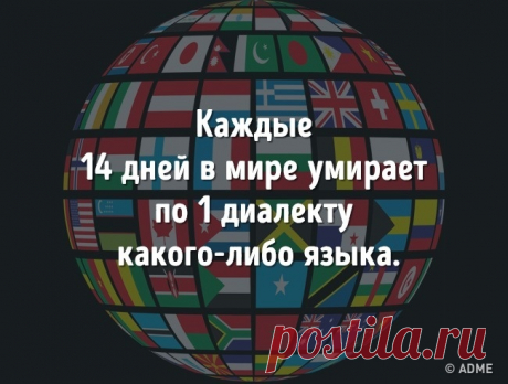 25 удивительных фактов, которые вы точно не знали