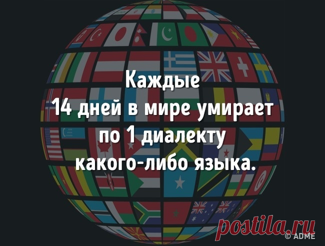 25 удивительных фактов, которые вы точно не знали