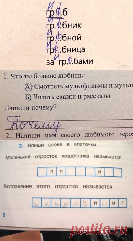 20 гениальных ответов детей в школьных тетрадях
