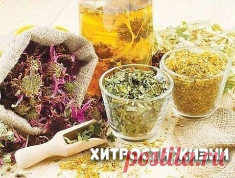 Народное средство для предупреждения ожирения и продолжения жизни
Взять по 1 пачке (100гр) ромашки, зверобоя, бессмертника, березовых почек, все перемешать, пропустить через кофемолку и закрыть крышкой в 3-литровый бутыль.
Через 10-12 часов взять одну столовую ложку смеси и залить ее 0,5 л кипятка на 20 мин., затем процедить.
В стакане настоя развести 1 чайную ложку меда, выпить за 15-20 мин.. до завтрака.
Так поступать ежедневно до окончания смеси.
Курс лечения повторить через 5 лет.
Резко у