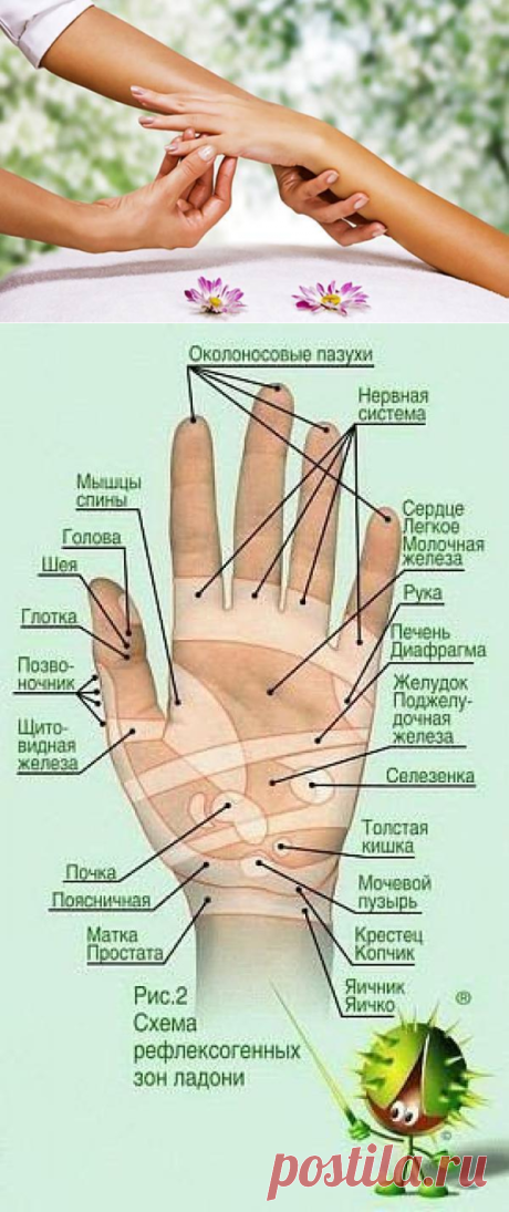 Тайная сила… мизинца. Массаж для снижения аппетита
