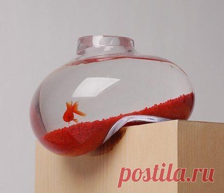 ш8