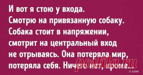 Когда собака ждет своего человека, она дрожит от страха не за себя, а за него Если у вас есть сердце, то этот рассказ его растопит.