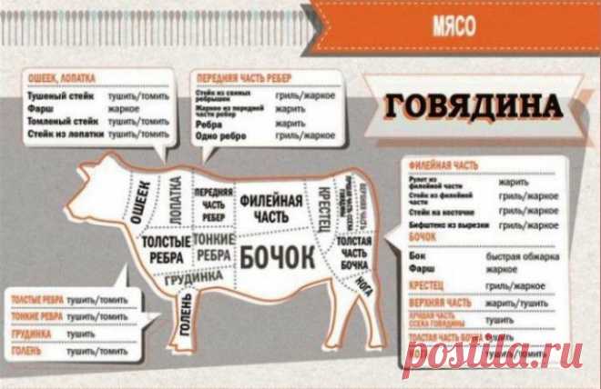 Шпаргалка для кухни