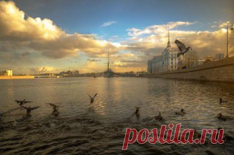 Мир Фотографии
