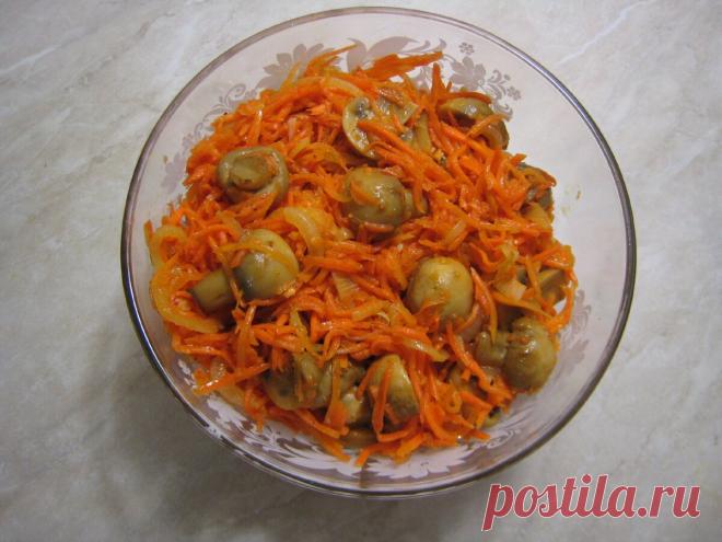 Морковь по - корейски с шампиньонами. Простой пошаговый рецепт с фото. | STASNET | Яндекс Дзен