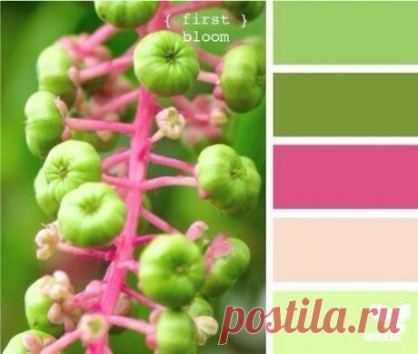 Сочетания цветов