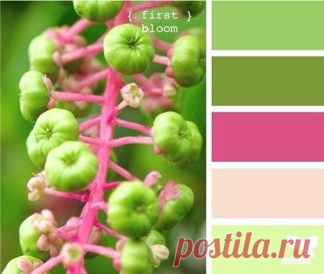 Сочетания цветов