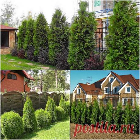 15 идей, которые превратят дачный хлам в исключительные вещицы на зависть всем соседкам