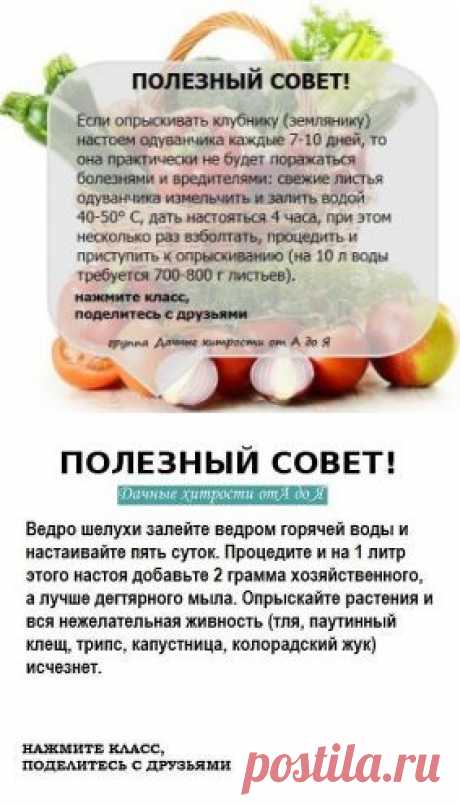 (1) Одноклассники