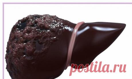 (1) Одноклассники