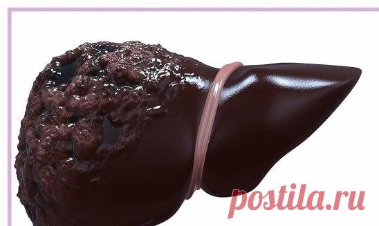 (1) Одноклассники