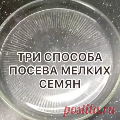 Товары для сада и огорода в Instagram: «Начинающие садоводы ! Берите себе на заметку !!!…»