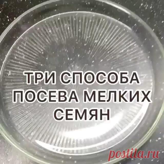 Товары для сада и огорода в Instagram: «Начинающие садоводы ! Берите себе на заметку !!!…»