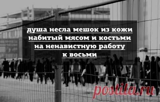 Google+
