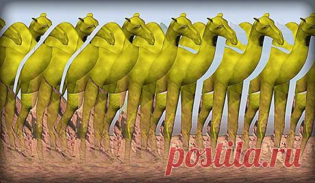 Стереокартинки (продолжение 9). / Фотошоп и я.