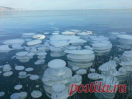 (1) Одноклассники