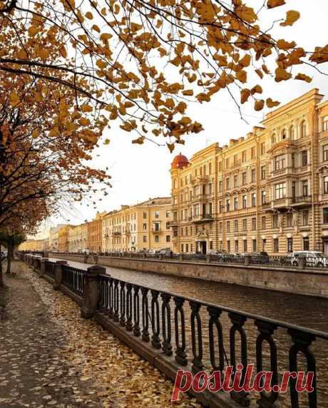Яндекс Картинки: поиск похожих изображений