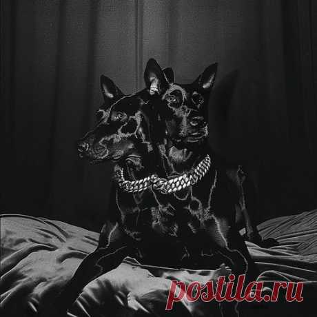 NTO (FR) &amp; Sofiane Pamart – FOREVER FRIENDS [3617387606007]