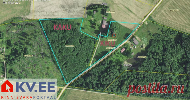 Müüa maatükk - Saeveski tee, Kikaste, Luunja vald, Tartumaa Müüa maa Tartu lähistel, Luunja vallas, Kikastes.Uut omaniku ootavad toredad maalapid Kiku ja Käku.Kiku on elamumaa suurusega 8278 ruutmeetrit ja talle meeldiks, kui tema peal elaksid inimesed. Elektri liitumine puudub, kuid kuna alajaam on 400m raadiuses, siis ei nõua see üüratuid lisakulutusi.Käku on rohkem metsa poole ja seetõttu kasvab sellel ka umbes 12 aastane noormets. Käku jaoks on olemas palju võimalusi, ...