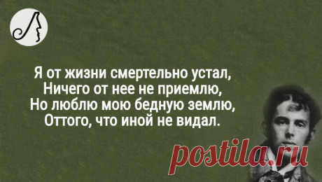 “Я от жизни смертельно устал” стихи Мандельштама о вечном | Личности | Яндекс Дзен
