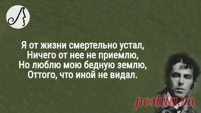 “Я от жизни смертельно устал” стихи Мандельштама о вечном | Личности | Яндекс Дзен