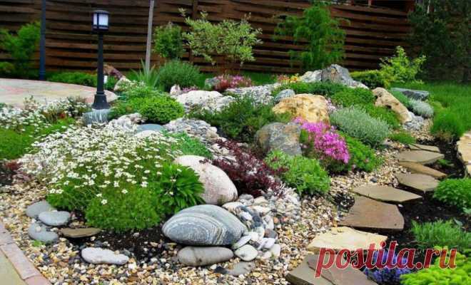 Альпийские горки в ландшафтном дизайне: как можно сделать своими руками, фото горки с водопадом, какие растения можно сажать, описание растений