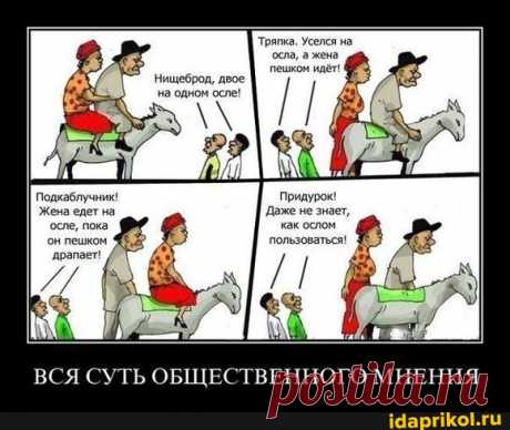 Тряпка. Уселся на осла, а жена пешком идёт! Нищеброд, двое на одном осле! Придурок! Даже не знает, как ослом пользоваться! ВСЯ СУТЬ ОБЩЕСТВЕННОГО МНЕНИЯ - seo.title