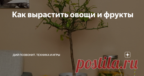 Как вырастить овощи и фрукты
